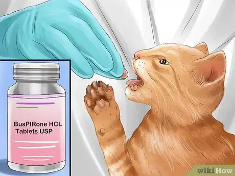 Image titled Give Serotonin (5 Ht) Agonists to a Cat Step 1
