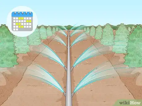 Image titled Start a Tree Farm Step 16