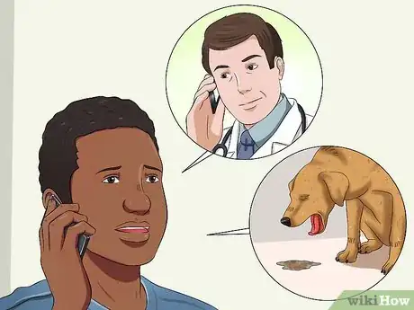 Image titled Cure Frequent Dog Vomiting Step 8