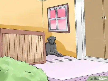 Image titled Keep Your Dog Comfortable Outdoors Step 1