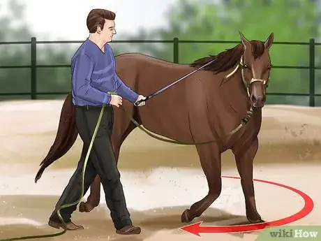 Image titled Round Pen a Horse Step 6