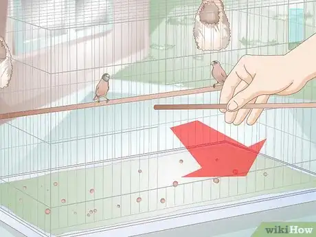 Image titled Disinfect a Finch Cage Step 1