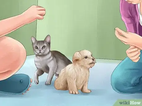 Image titled Track the Development of New Puppies Step 8