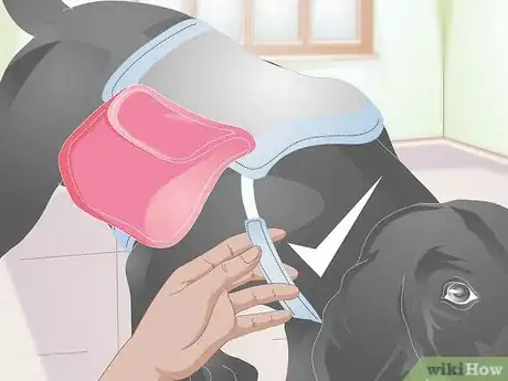 Image titled Fit a Dog Backpack Step 5