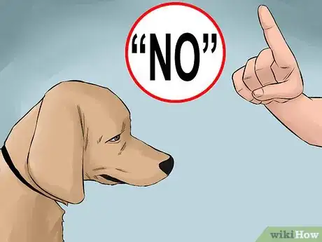 Image titled Become Close With Your Dog Step 12