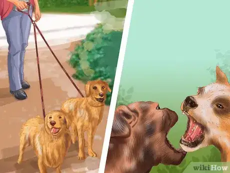 Image titled Decide Whether to Get a Second Dog Step 13