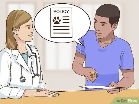 Image titled Care for an American Curl Cat Step 14