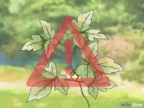 Image titled Avoid Skin Problems at Work Step 7