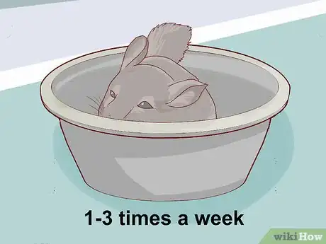 Image titled Give a Chinchilla a Dust Bath Step 13