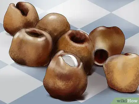 Image titled Give Selective Serotonin Reuptake Inhibitors to a Cat Step 8