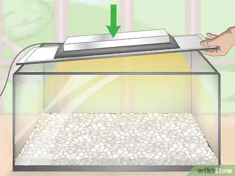 Image titled Set up a Planted Goldfish Aquarium Step 4