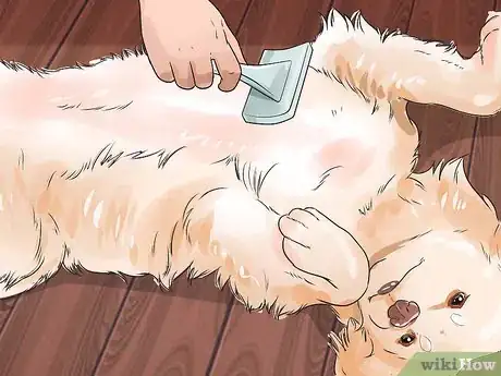 Image titled Brush a Long Haired Dog Step 10