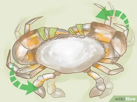 Image titled Choose and Prepare the Healthiest Fish Step 13