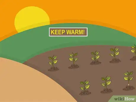 Image titled Grow a Chilli Plant from a Seed Step 13