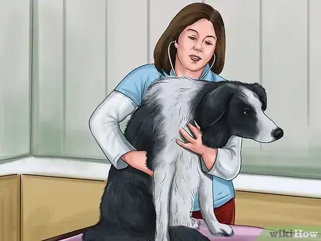 Image titled Know when to Stop Breeding a Male Dog Step 4