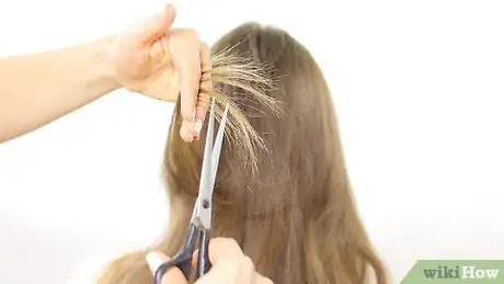 Image titled Do a Beehive Braid Step 1