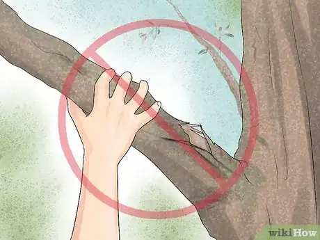 Image titled Free Climb a Tree Step 10