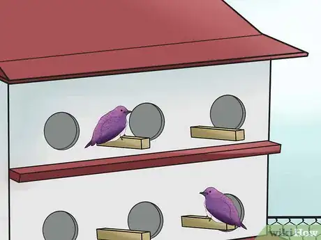 Image titled Attract Purple Martins Step 15