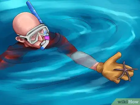 Image titled Choose a Vacation Destination for Animal Lovers Step 12