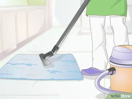 Image titled Protect Pet Birds when Spraying Your House for Fleas Step 6