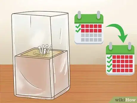 Image titled Grow Enoki Mushrooms Step 5