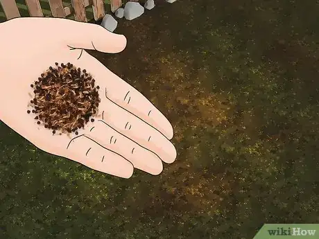 Image titled Grow Wildflowers Step 20