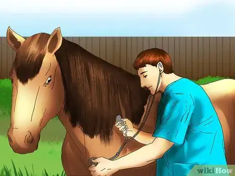 Image titled Buy a Trail Horse Step 19