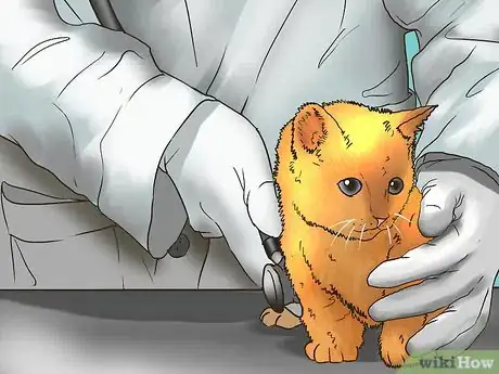 Image titled Earn the Trust of a Feral Kitten Step 8