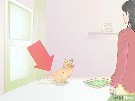 Image titled Keep a Cat Healthy Step 8