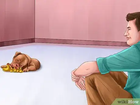 Image titled Rotate Your Dog's Toys Step 7