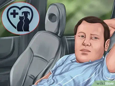 Image titled Make Vet Visits Less Stressful for Your Cat Step 13