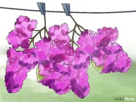 Image titled Grow Lilacs Step 9