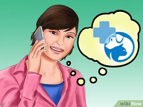 Image titled Give L‐Carnitine to Cats with Fatty Liver Step 13