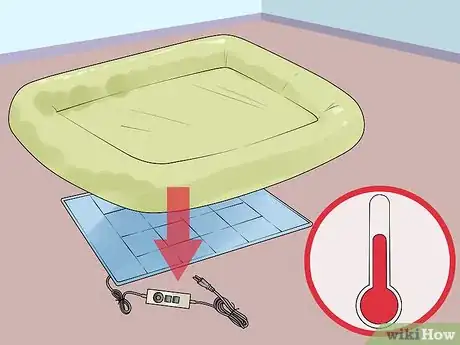 Image titled Greatly Improve the Life of a Dog with Arthritis Step 3