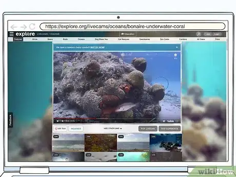 Image titled Vacation at Home During Coronavirus Step 14