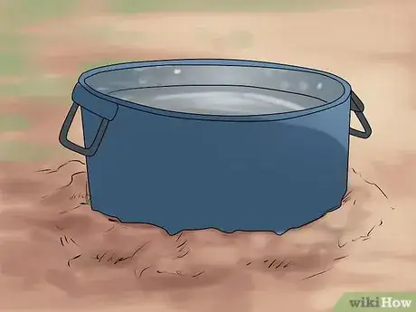 Image titled Keep Your Dog Comfortable Outdoors Step 6