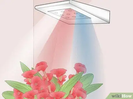 Image titled Can LED Lights Grow Plants Step 9