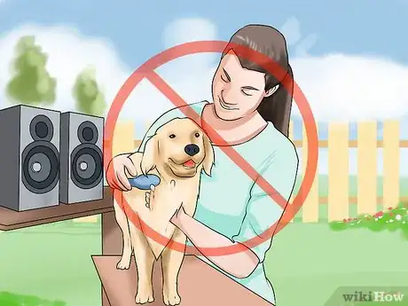 Image titled Groom a Hyper Dog Step 10