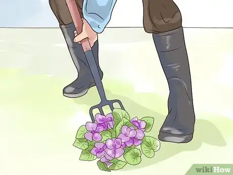 Image titled Control Wild Violets Step 6