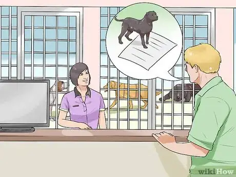 Image titled Choose a Dog for Older Kids Step 8