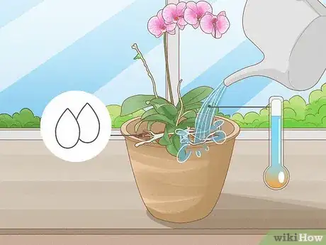 Image titled Repot Orchids with Air Roots Step 13
