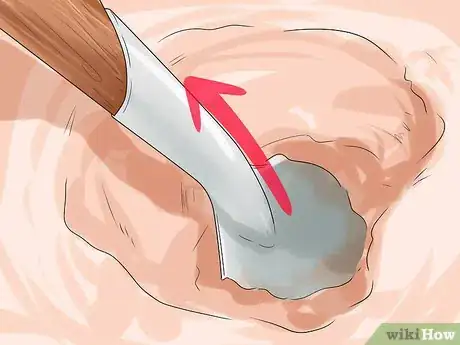 Image titled Dig Pacific Razor Clams Step 4