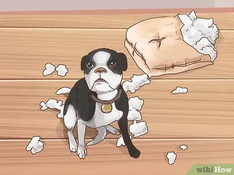 Image titled Know if Your Older Dog Suffers from Separation Anxiety Step 8