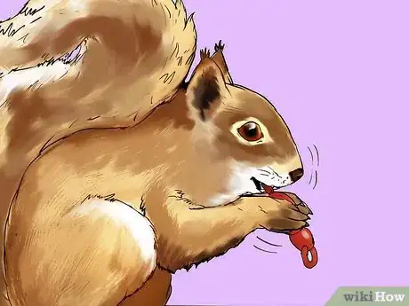 Image titled Keep a Pet Squirrel Step 11