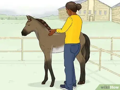 Image titled Prevent OCD in Horses Step 8