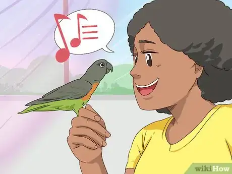 Image titled Handle a Scared Red Bellied Parrot Step 13