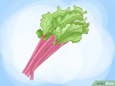 Image titled Buy Rhubarb Step 2