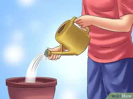 Image titled Transplant Bulbs Step 11