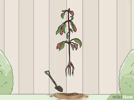 Image titled Fight Fuschia Gall Mites Step 2