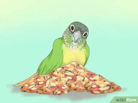 Image titled Feed a Conure Step 3